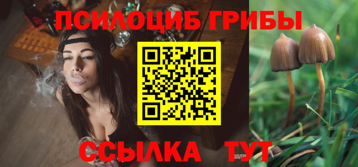 Галлюциногенные грибы мицелий  продажа наркотиков  Шадринск  Вход с VPN  Псилоцибиновые грибы Psilocybine cubensis 
