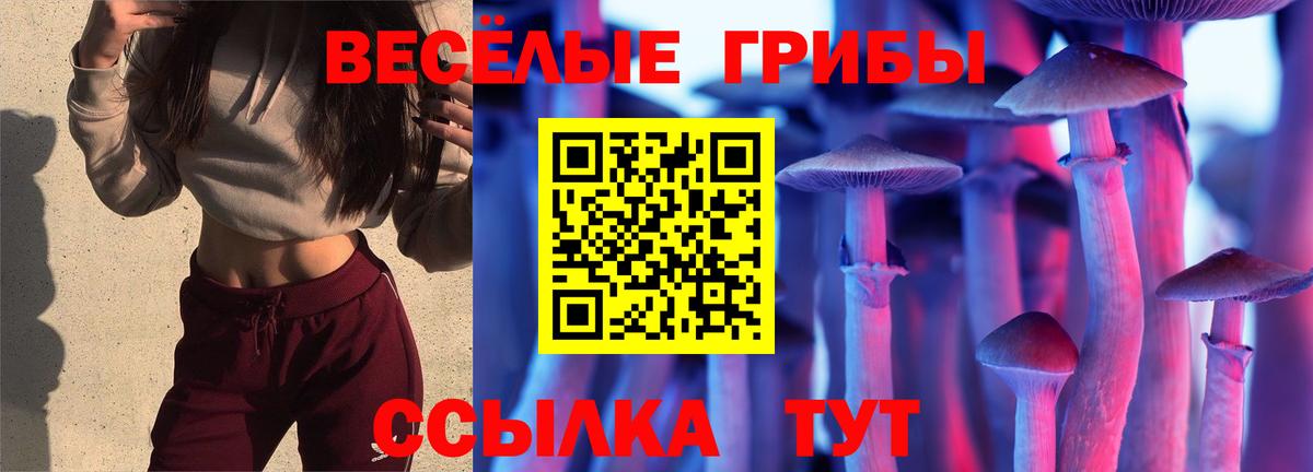 Галлюциногенные грибы GOLDEN TEACHER Шадринск
